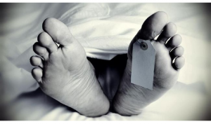 Foto ilustrasi. Foto ilustrasi.