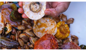 macam-macam seafood yang bisa disantap di dalam bus bandara di Yogyakarta