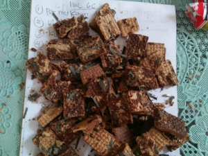wafer berisi potongan silet
