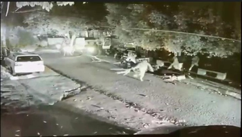 Viral video sejumlah orang menyerang driver ojol di Kota Bandung.
