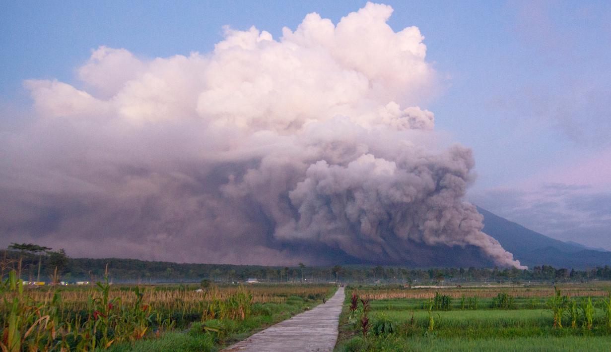 Gunung Semeru Erupsi Muntahkan Abu Vulkanik Sejauh 17 KM