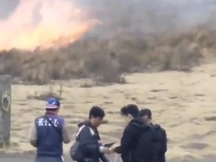 Kebakaran Bukit Teletubbies di Bromo