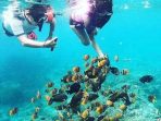 Aktivitas snorkeling di Nusa Lembongan Nusa Penida Bali