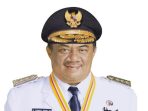 Mantan Gubernur Sumut Syamsul Arifin
