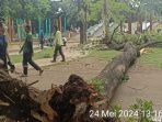 Pohon besar yang tumbang hingga timpa pengunjung Tebet Eco Park