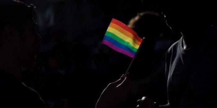 ilustrasi LGBT